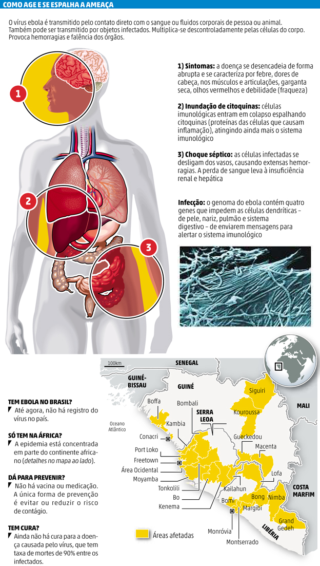 ebola-infografico