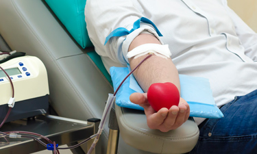 PEQ doador voluntario sangue