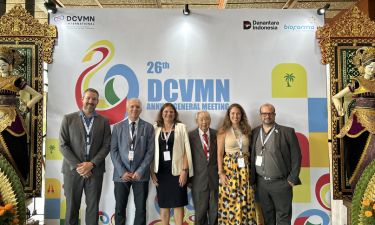 rosane board dcvmn peq