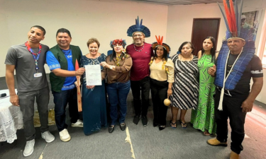 vacinacao indigena em foco site peq