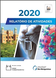 capa relatorio atividades 2020 site