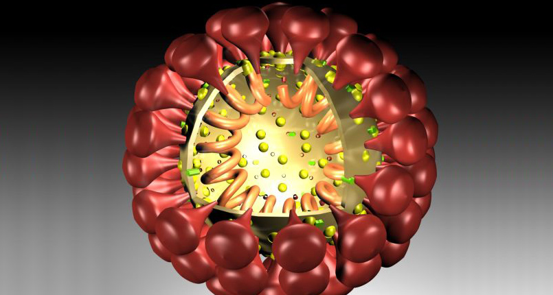 img coronavirus topo