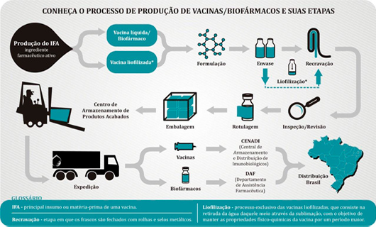 infografico pequeno 1