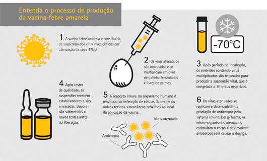 infografico pequeno 2