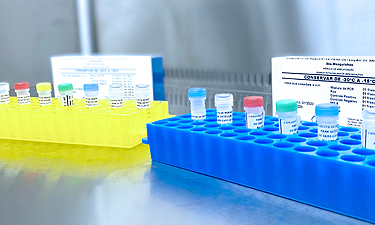 kit diagnostico coronavirus covid19 laboratorial bio mangunhos fiocruz