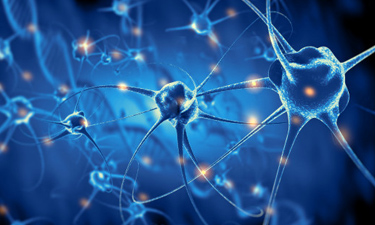 neuronios materia esclerose mutipla 375x225