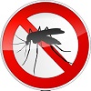 chikungunya