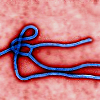 ebola