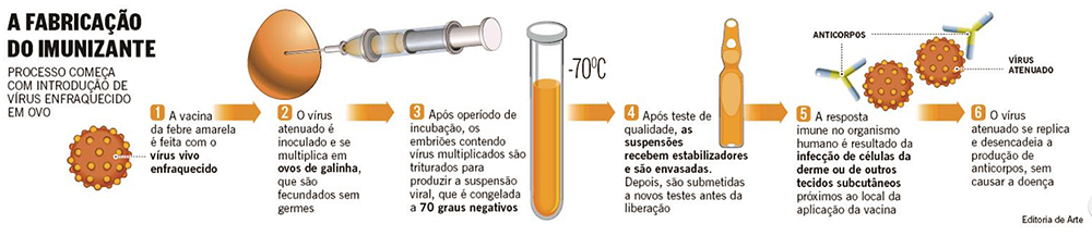 febre-amarela-infografico-globo