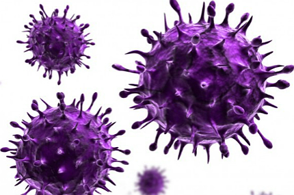 hepatite-c-virus