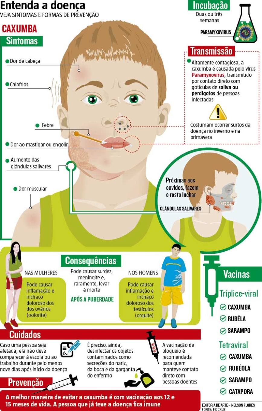 infografico-caxumba