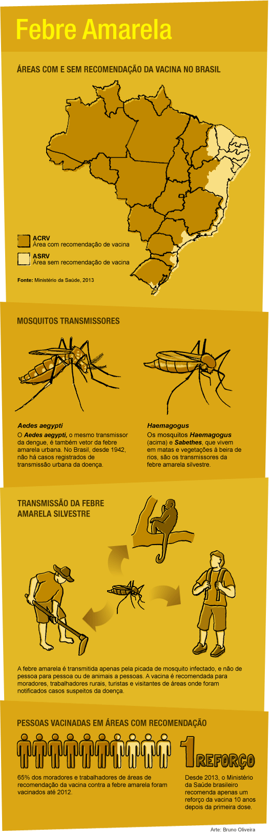 infografico febre amarela fiocruz