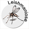 leishmaniose-100x100