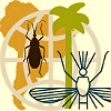medicina tropical