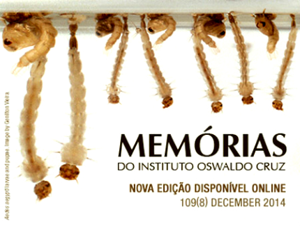 memorias-dezembro