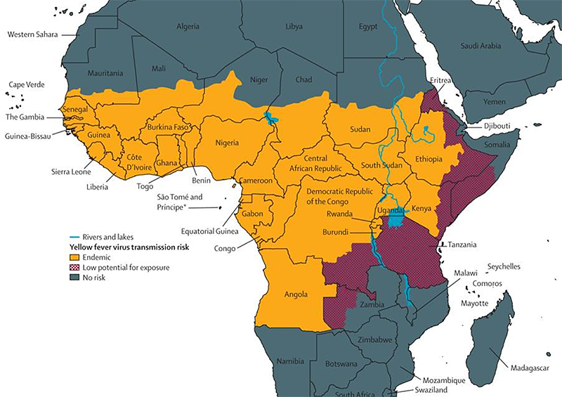 yellowfever-map-cdc